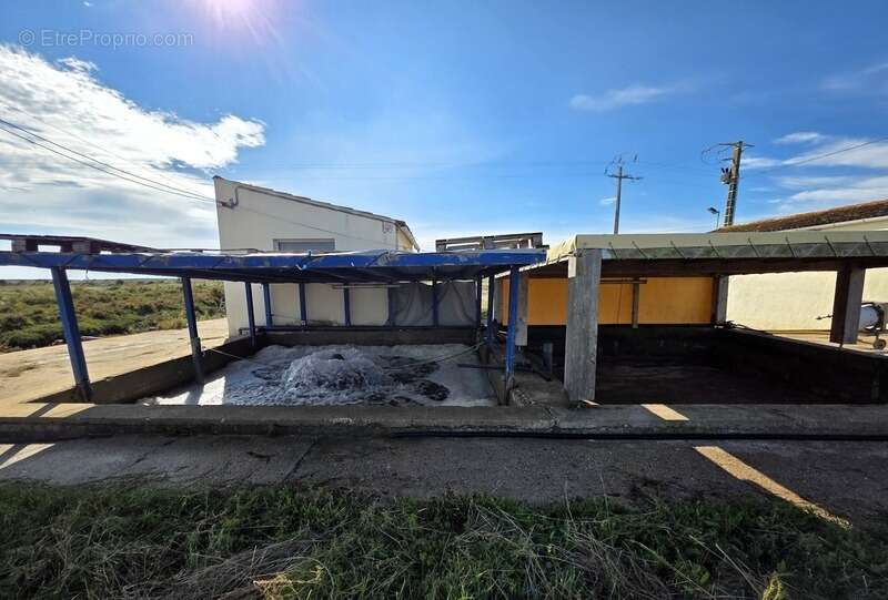 DOLUS D'OLÉRON (17), A Vendre société avec fonds ostréicole d'affinage purification, négoce d'huître, expédition & détail - photo 8