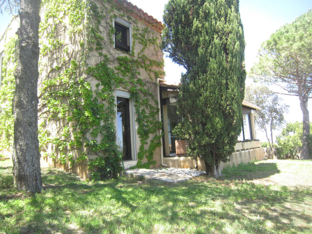 Sur les hauteurs de Narbonne - photo 2