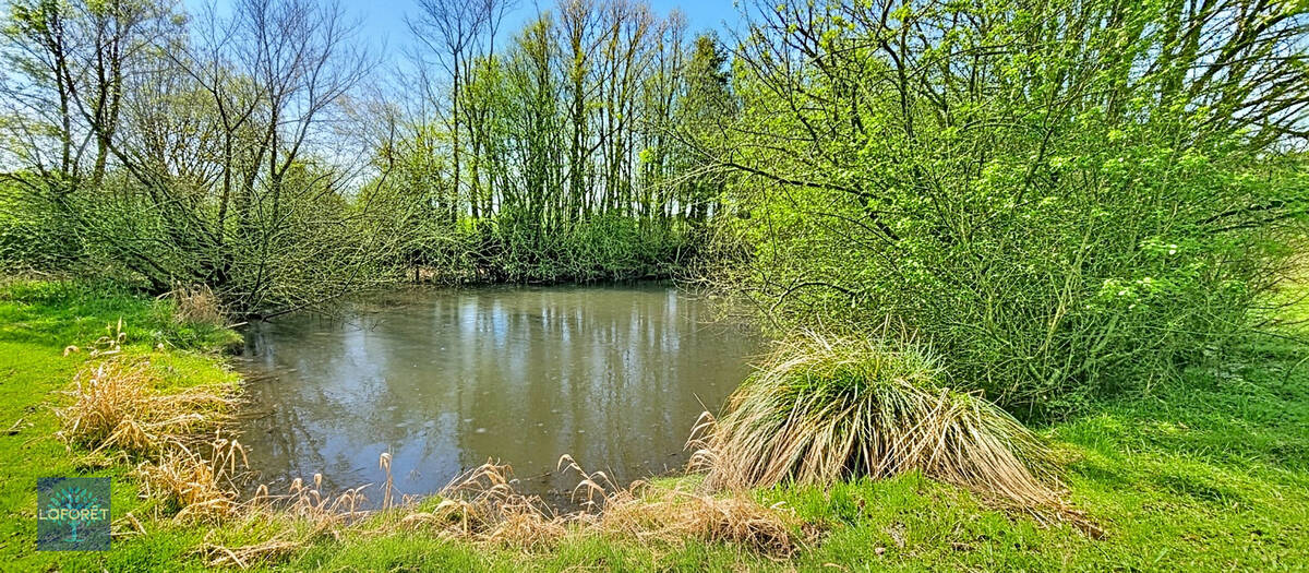 Terrain à LA PELLERINE