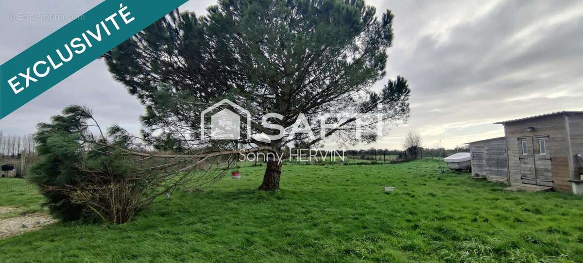 Photo 8 - Maison à NIEULLE-SUR-SEUDRE
