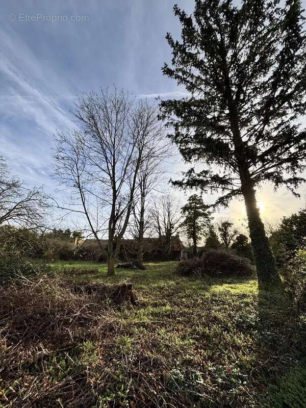 Maison à BELLENAVES