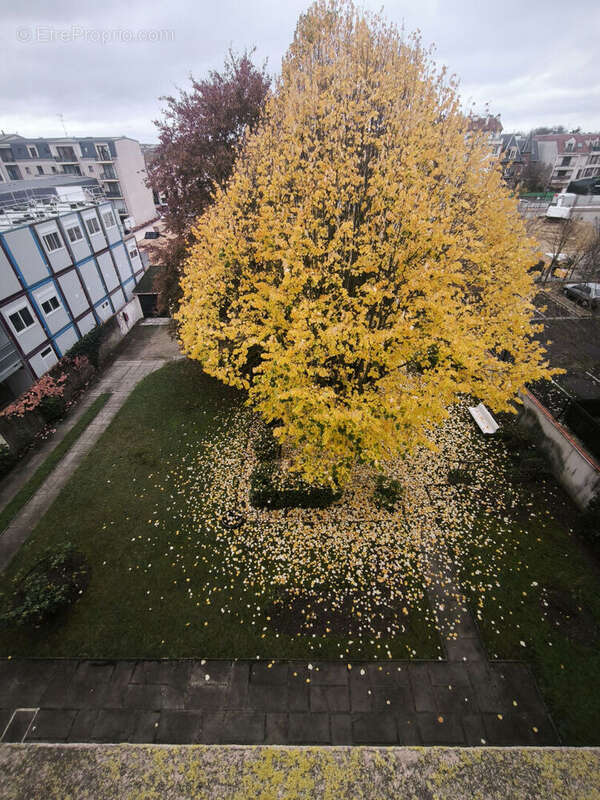 Appartement à SARTROUVILLE