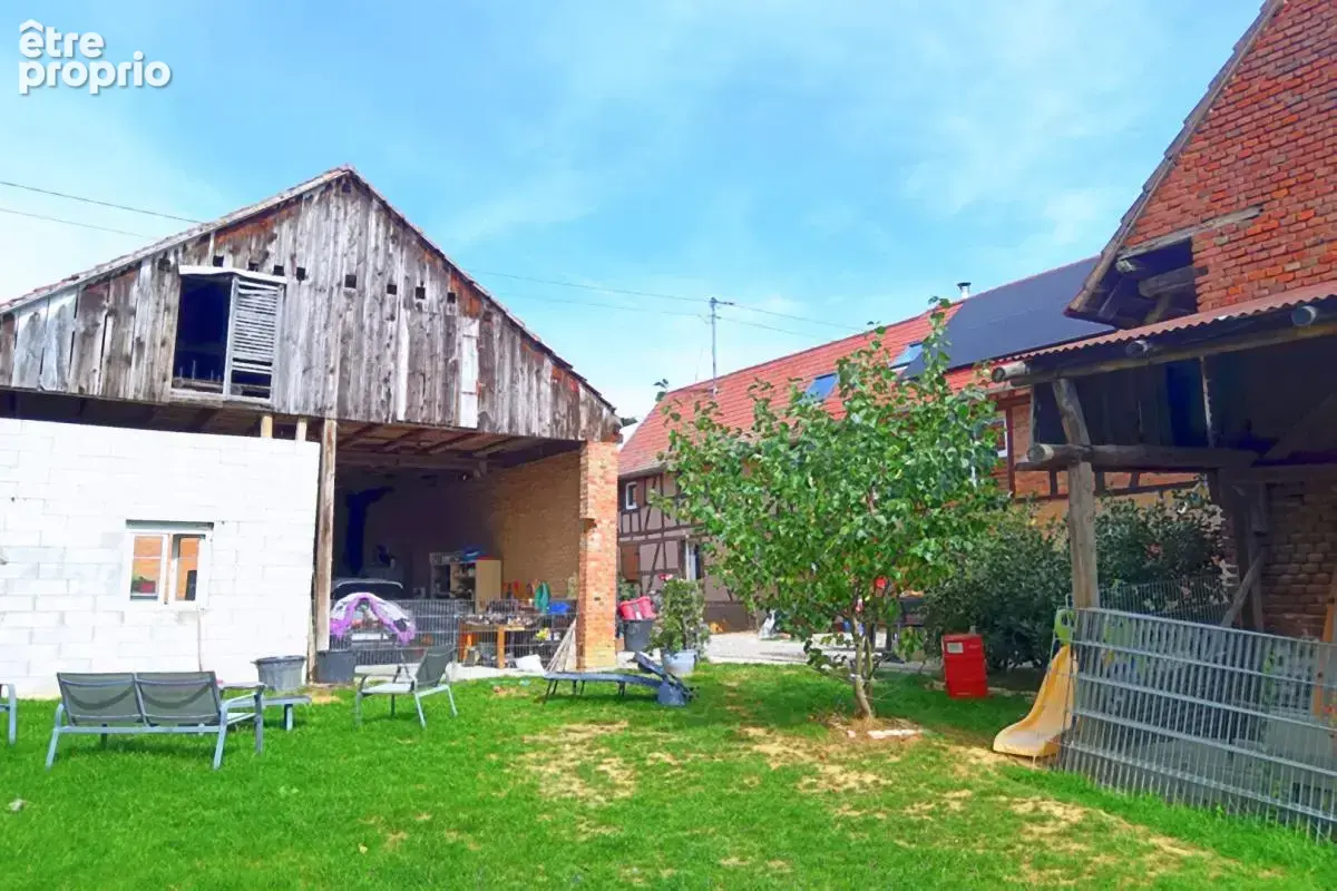 Grande maison Alsacienne rénovée, avec terrain et dépendances, 8 pièces, 246 m2 - photo 2