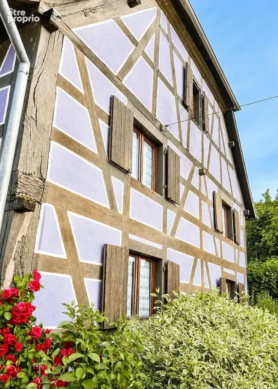 Maison 7 pièces 175 m² à vendre à Ballersdorf (68210) - photo 5