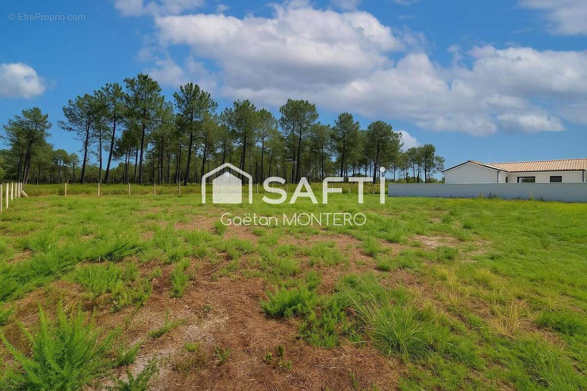 Photo 2 - Terrain à PARENTIS-EN-BORN