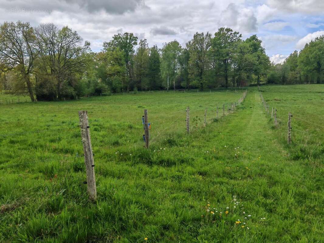 Prairie chênes - Maison à LIMOGES