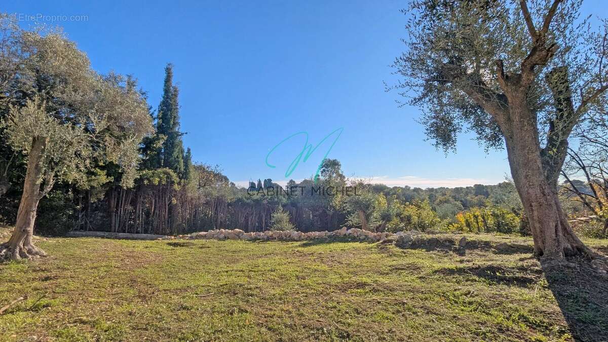 Terrain à ROQUEFORT-LES-PINS