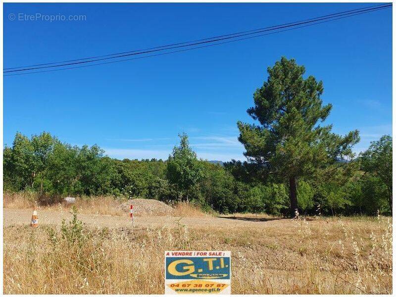 Terrain à SAINT-CHINIAN