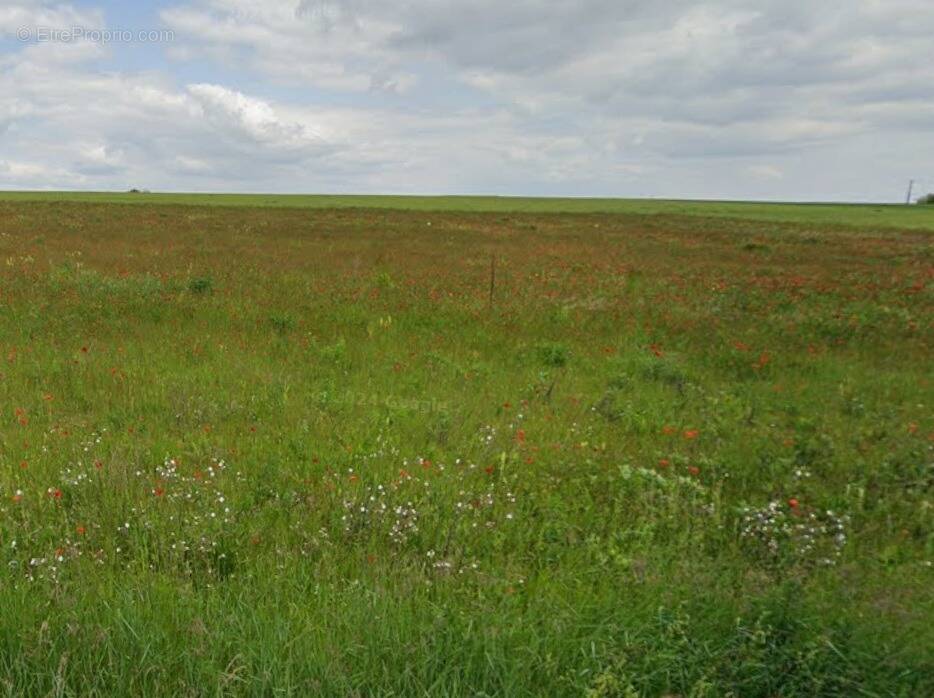 Terrain à MOULINS-SUR-YEVRE