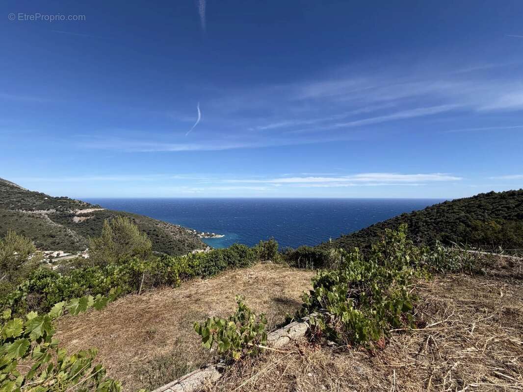 Terrain à EZE