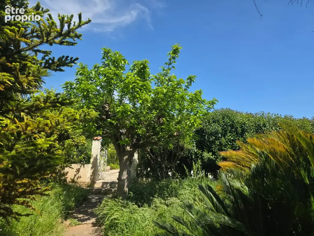Marignane, ideal deux familles, propriete composee d'une maison pricipale t5 + maisonnette de 50 m2 sur 1119 - photo 6