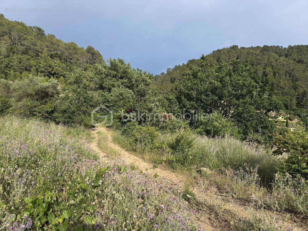 Terrain à BELGENTIER