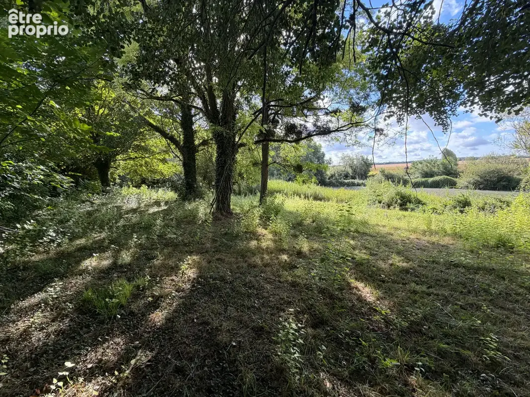 Terrain de loisirs avec étang - photo 4