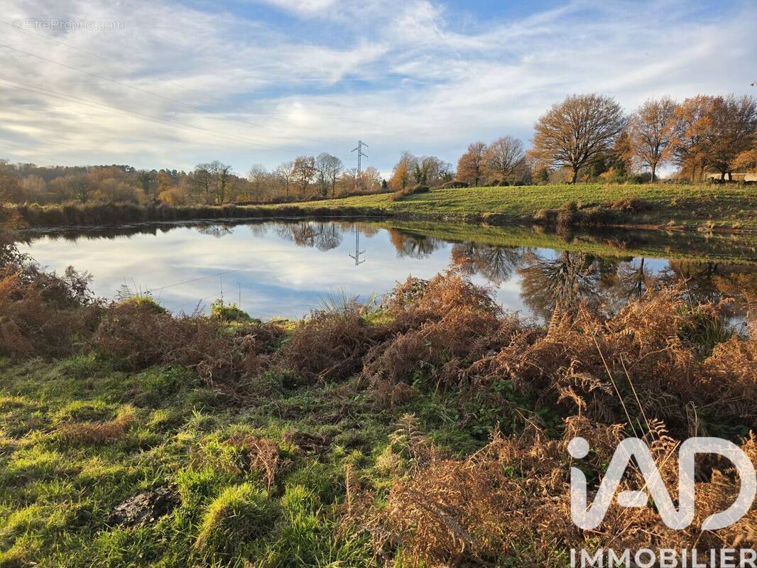 Photo 1 - Terrain à LE BUIS