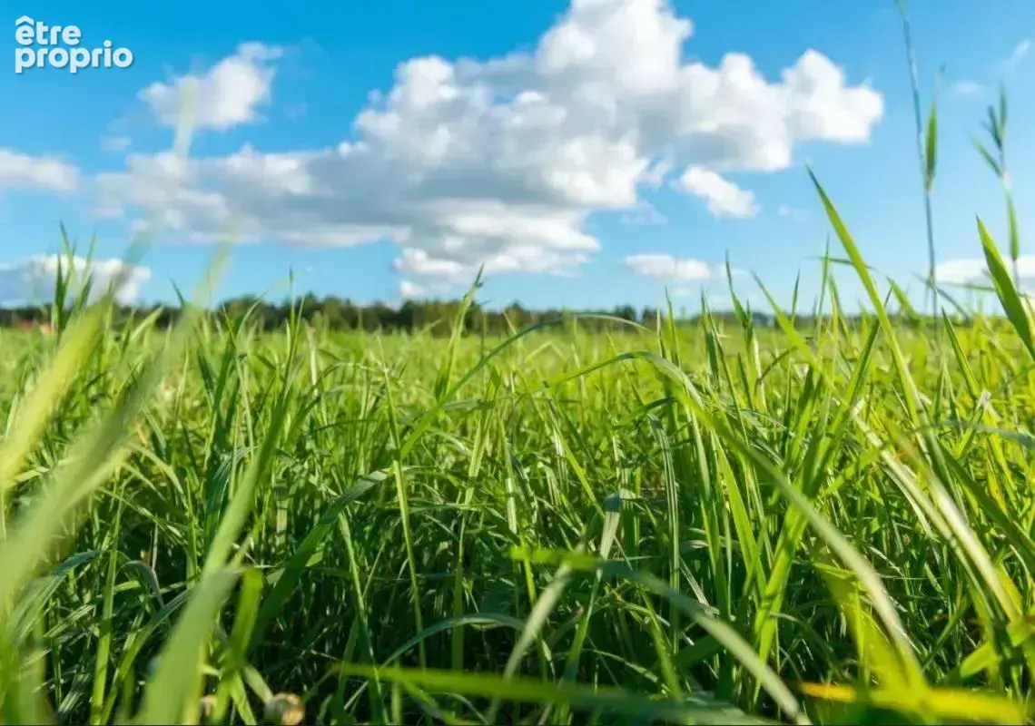Photo Terrain à Montaigut-Sur-Save au prix de 99 000€