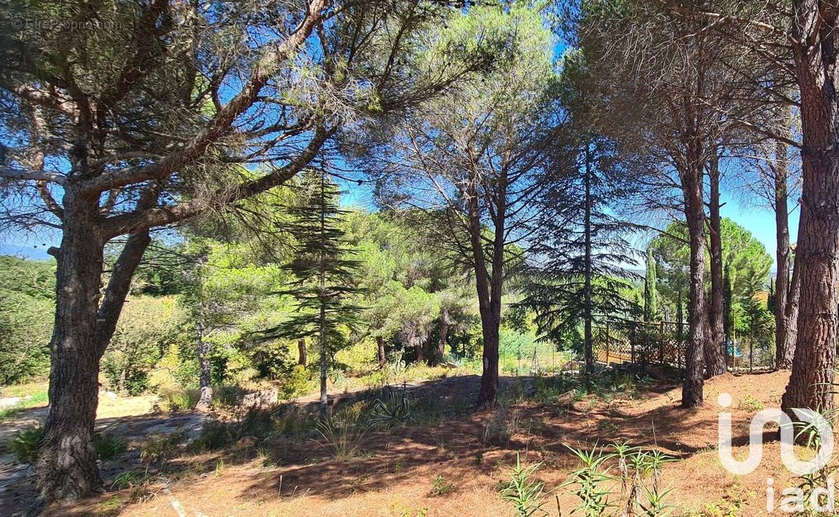 Photo 1 - Terrain à MONTESQUIEU-DES-ALBERES