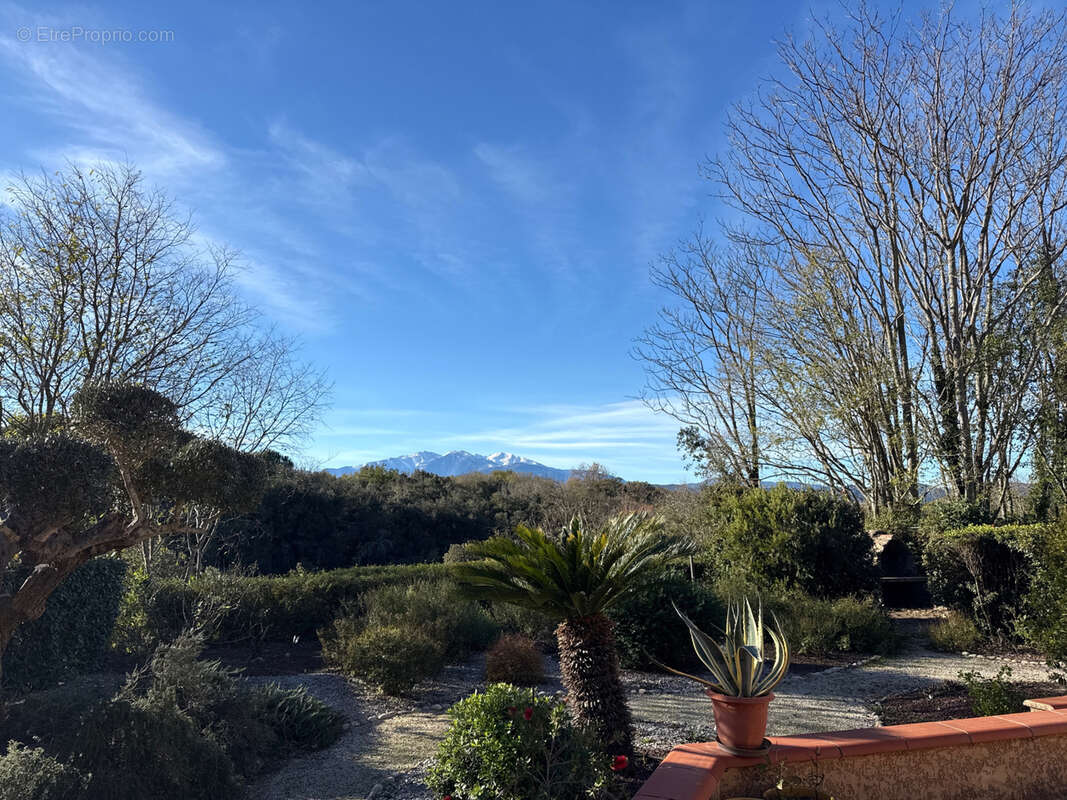 Maison à MAUREILLAS-LAS-ILLAS