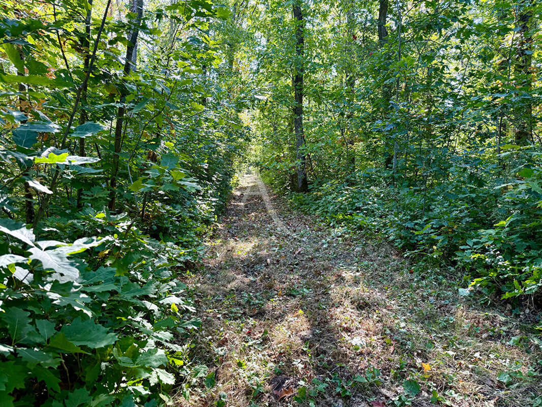 Terrain à LA FERTE-SAINT-AUBIN