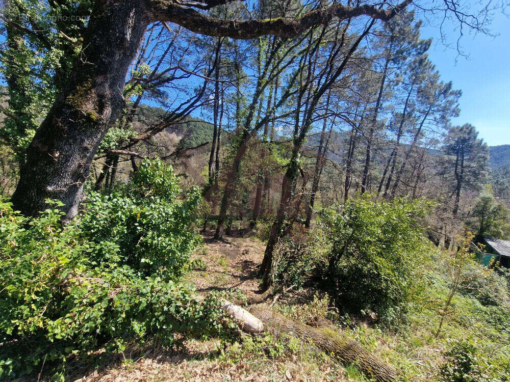 Terrain à PORTES