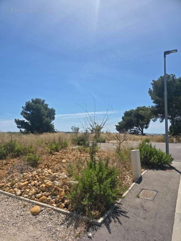 Terrain 450 m² à Martigues  - photo 3
