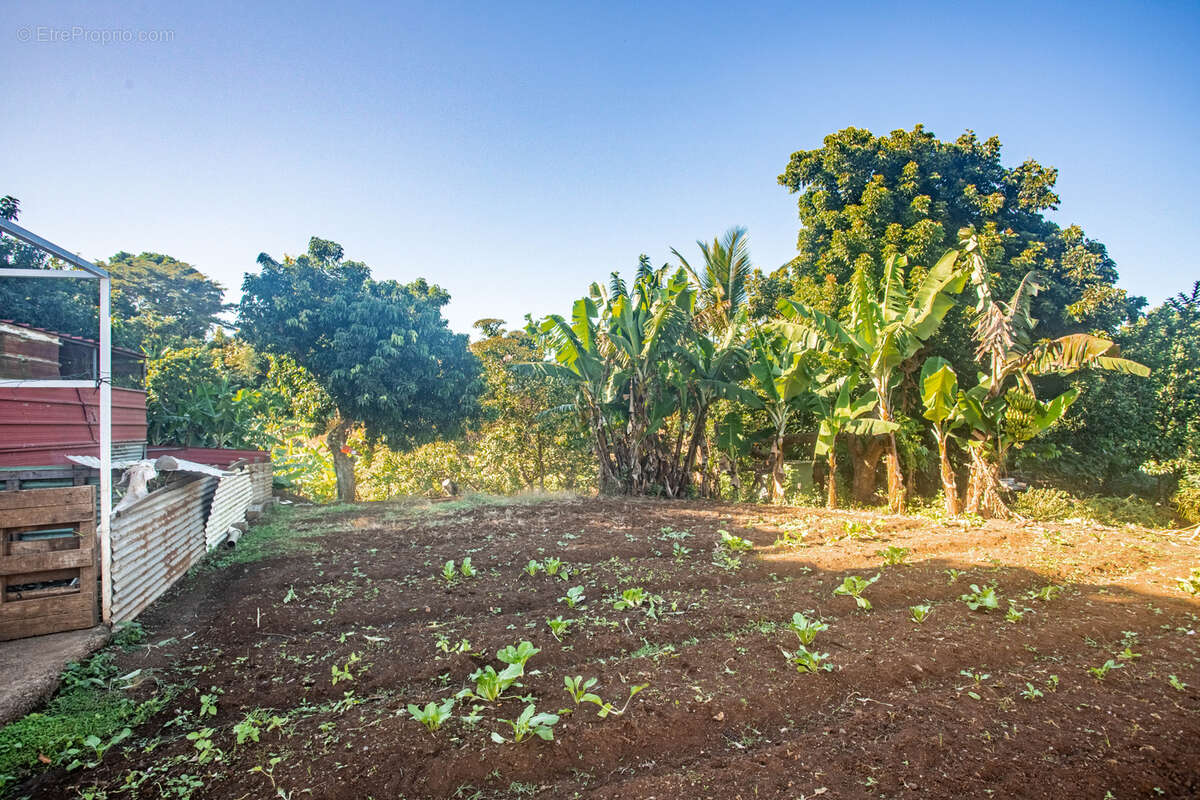 Maison à SAINT-LOUIS