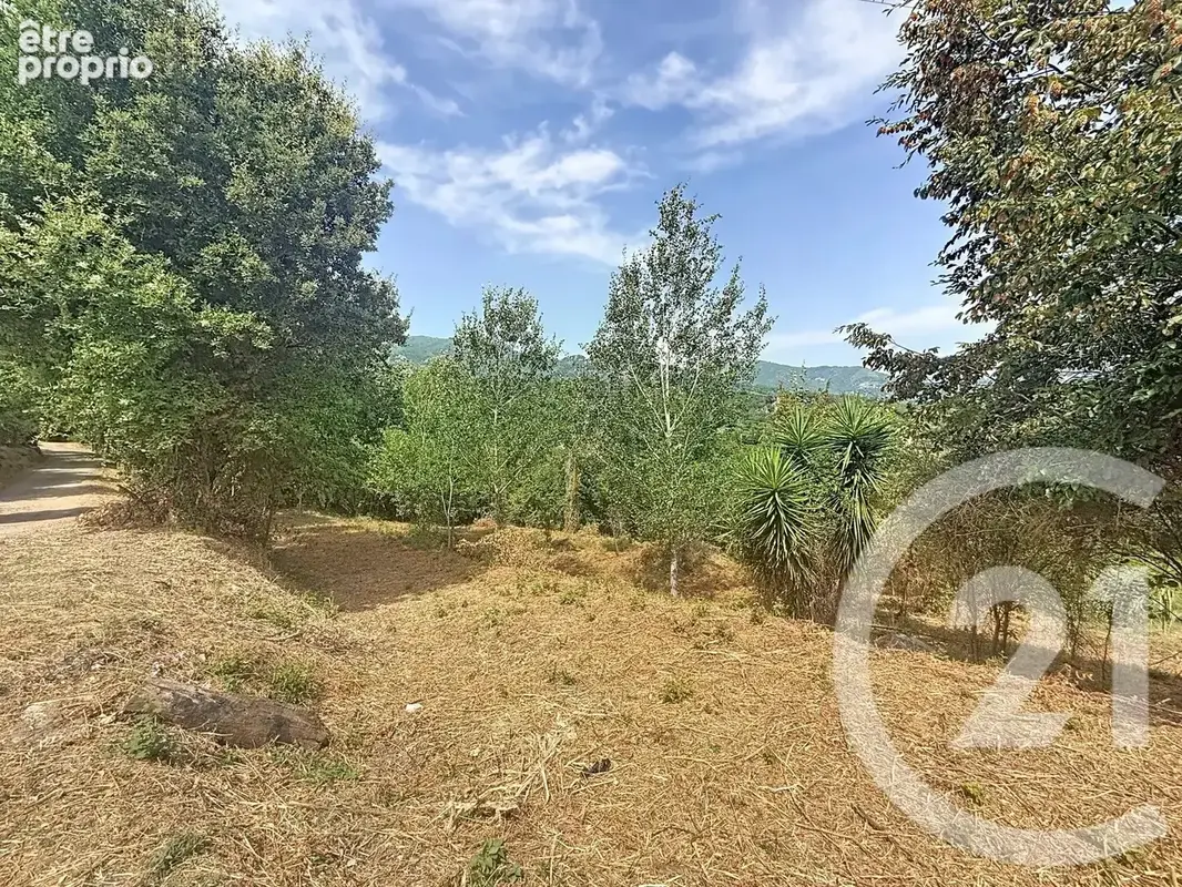 Terrain 2 000 m² à vendre à San-Nicolao (20230) - photo 10