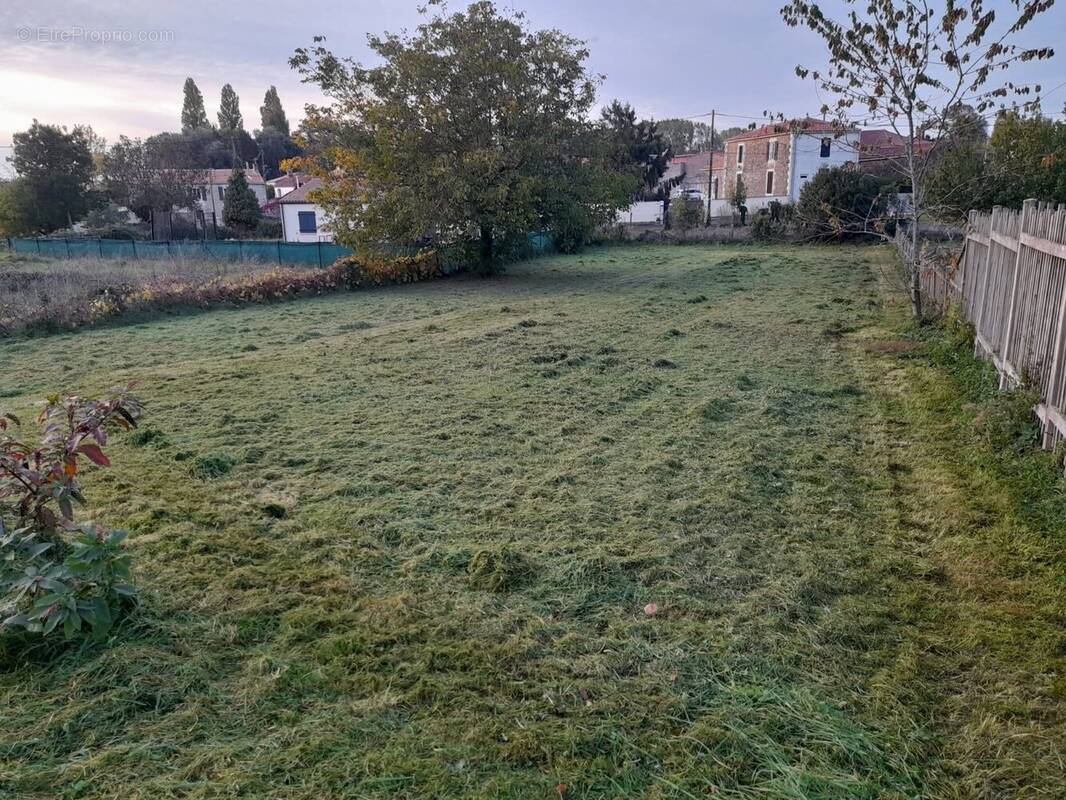 Terrain à SAINTE-HERMINE