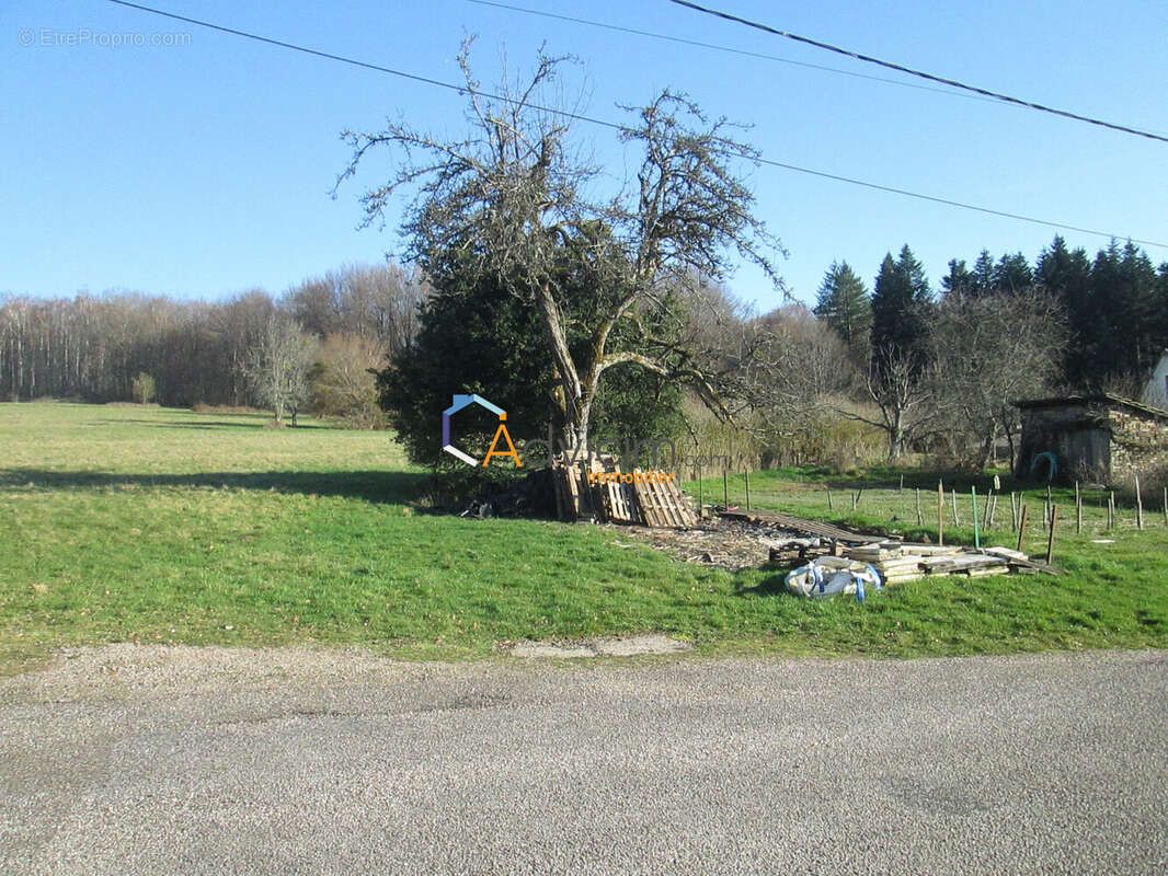 Terrain à AILLEVILLERS-ET-LYAUMONT