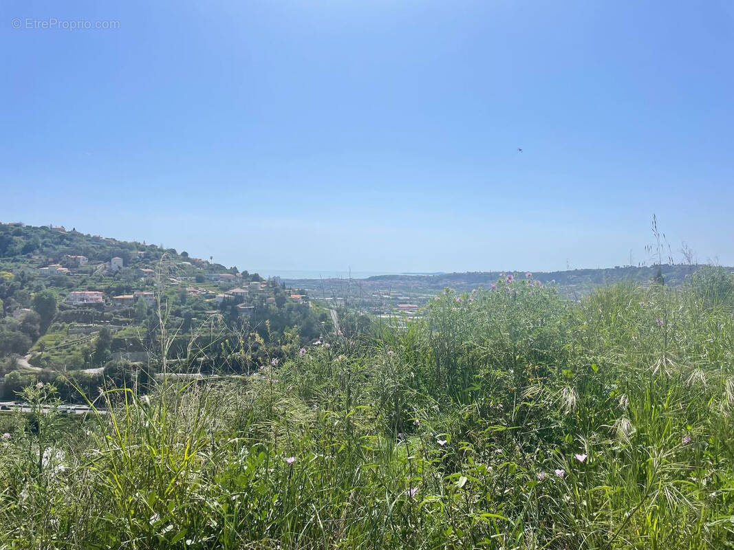 Terrain à NICE