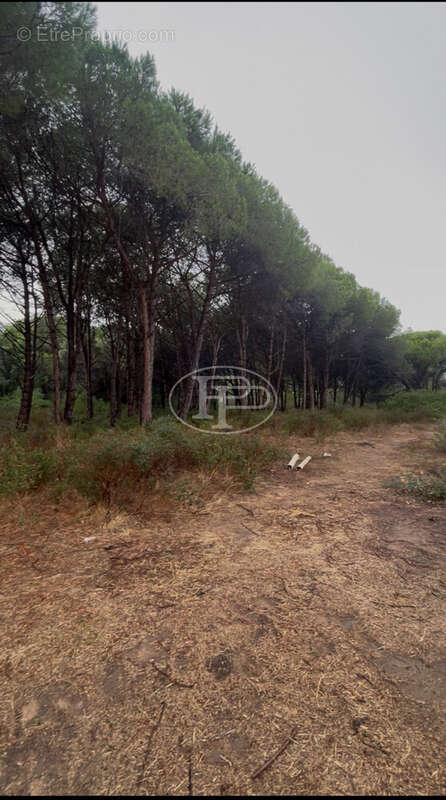 Appartement à CALVI