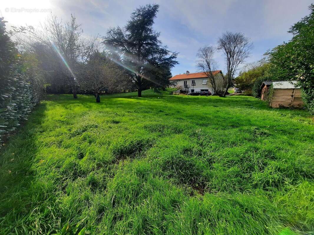 Photo 4 - Terrain à CHAURAY