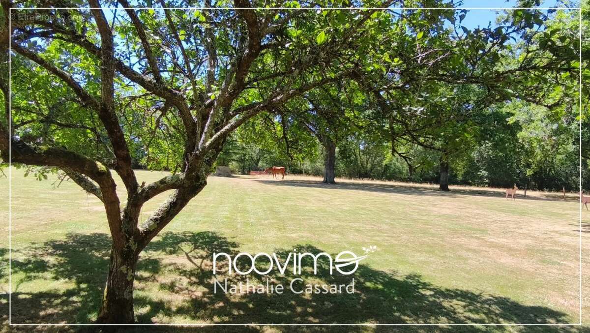 Domaine de caractère avec gîte indépendant, piscine et parc - photo 3