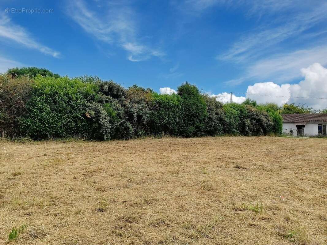 Terrain à SAINT-LON-LES-MINES