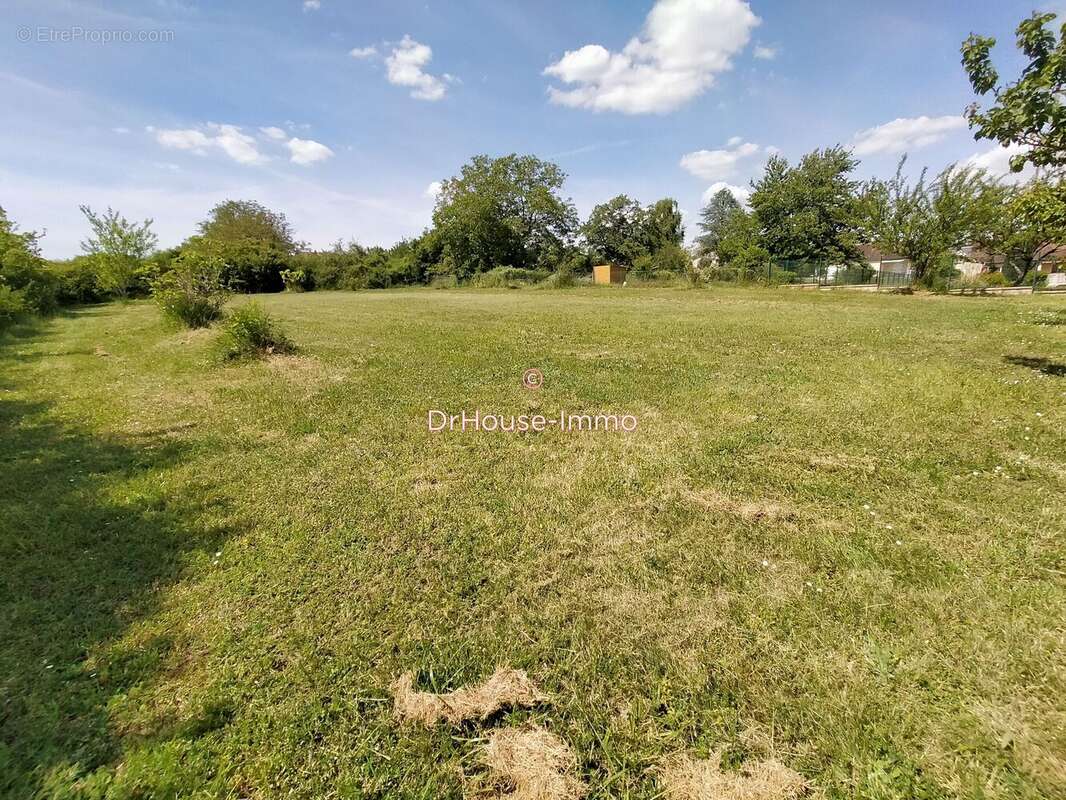 Terrain à LA ROCHE-POSAY