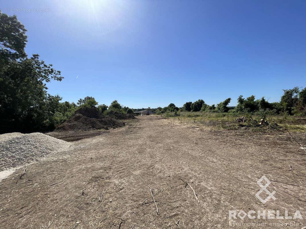 Terrain à SAINT-CREPIN