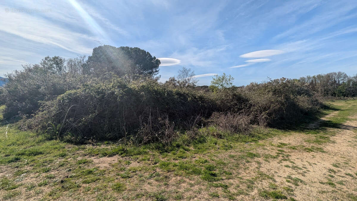 Terrain à PALAU-DEL-VIDRE