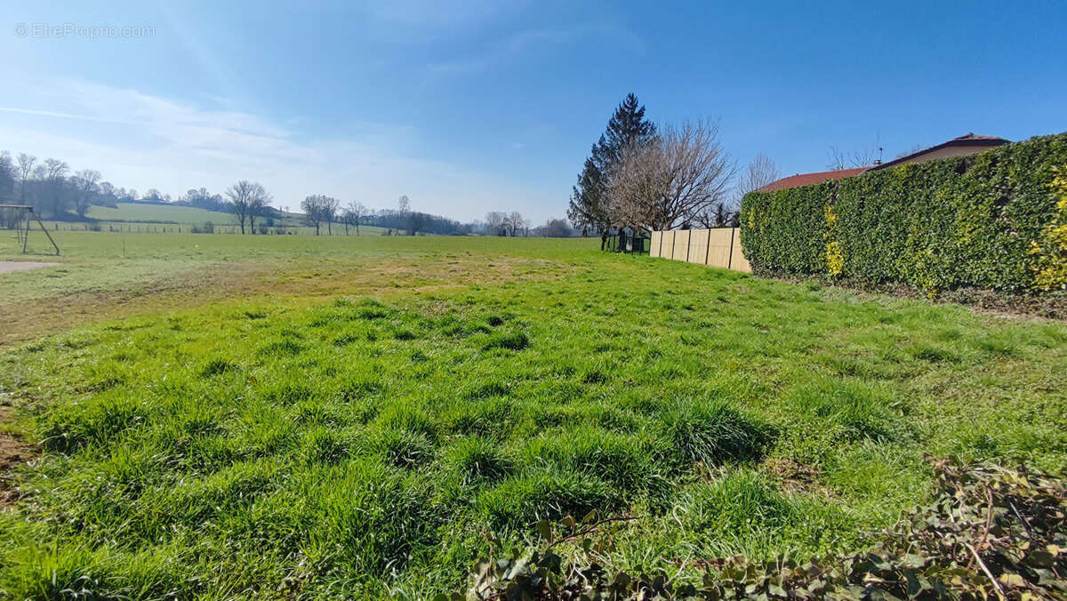 Terrain à CONFRANCON