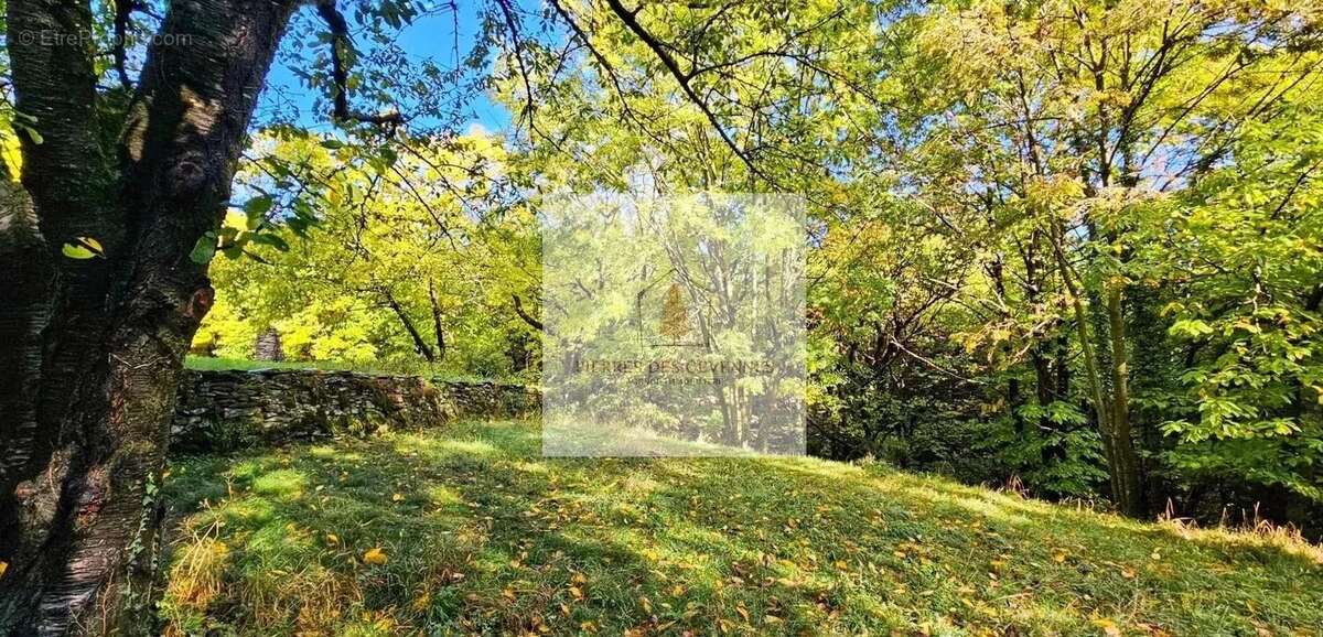 Maison à SAINT-MICHEL-DE-DEZE