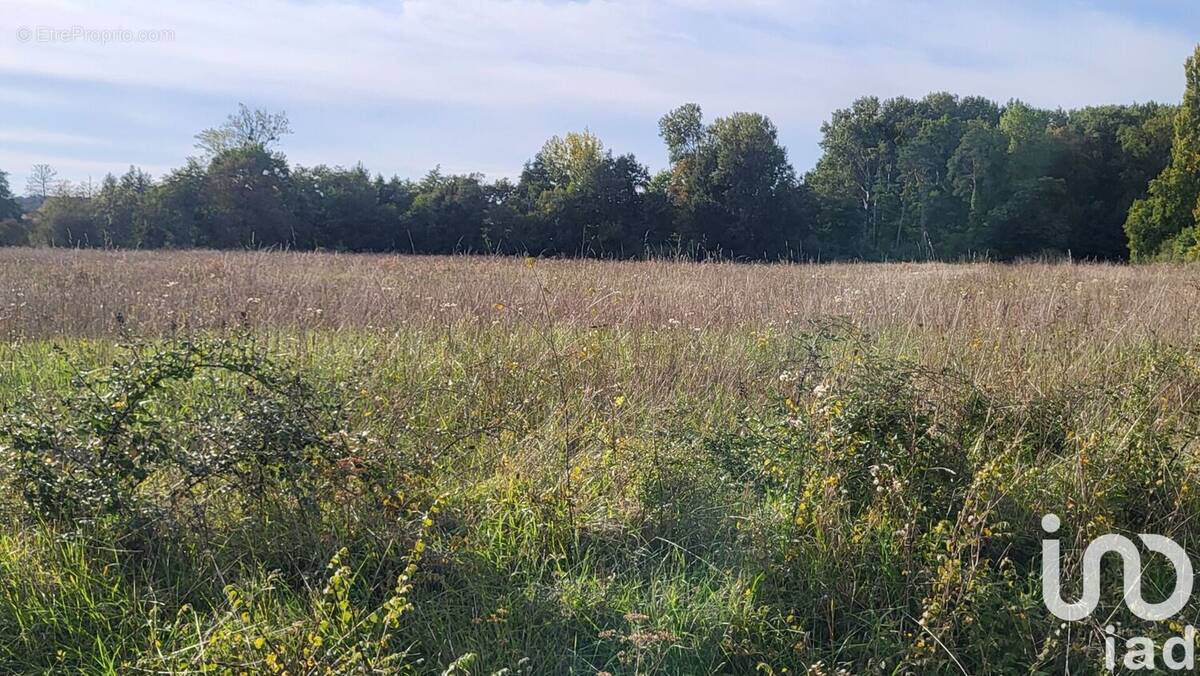 Photo 1 - Terrain à LA COUR-MARIGNY