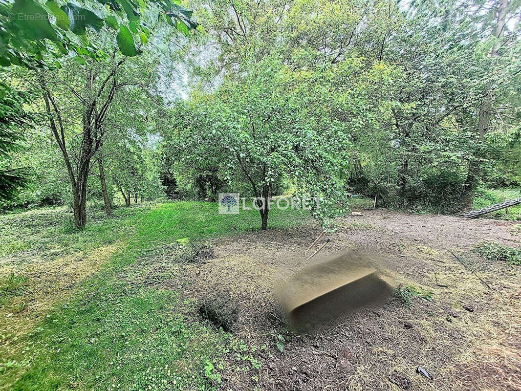 Maison à MONTBREHAIN