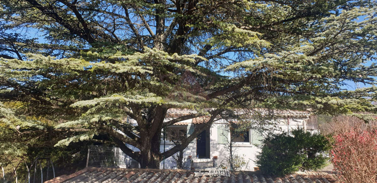 Maison à SAINT-FLORENT-SUR-AUZONNET