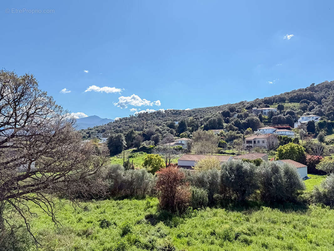 Appartement à BORGO