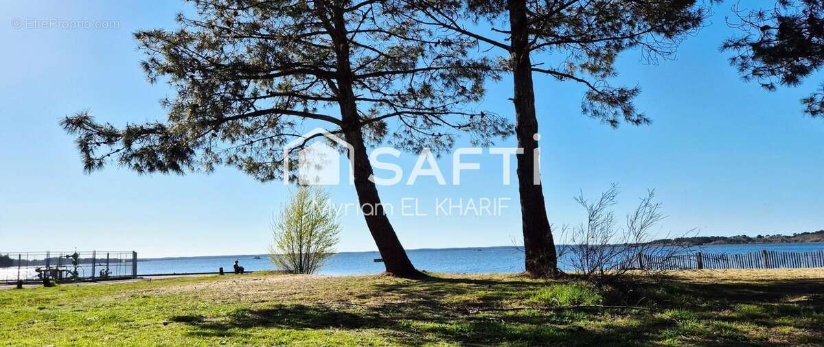 Photo 8 - Maison à PARENTIS-EN-BORN