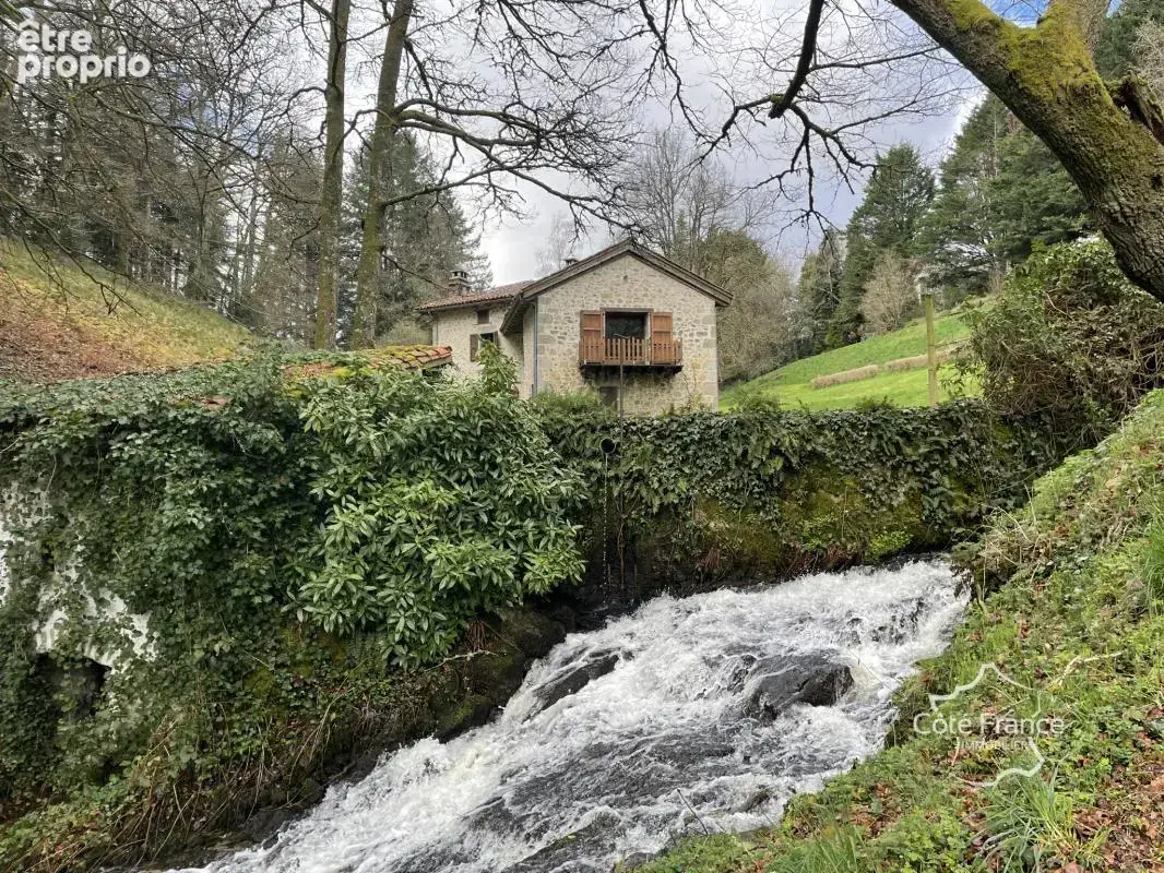 Ancien moulin avec droit d'eau et 2,2 hectares du terrain, C - photo 11