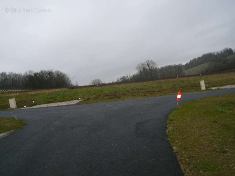 Terrain à SAINT-LAURENT-DE-COGNAC