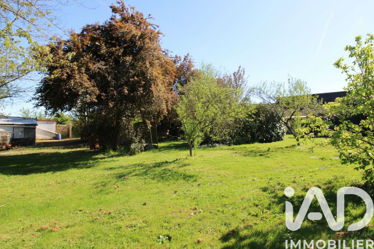 Photo 5 - Maison à CHAUMONT-SUR-LOIRE