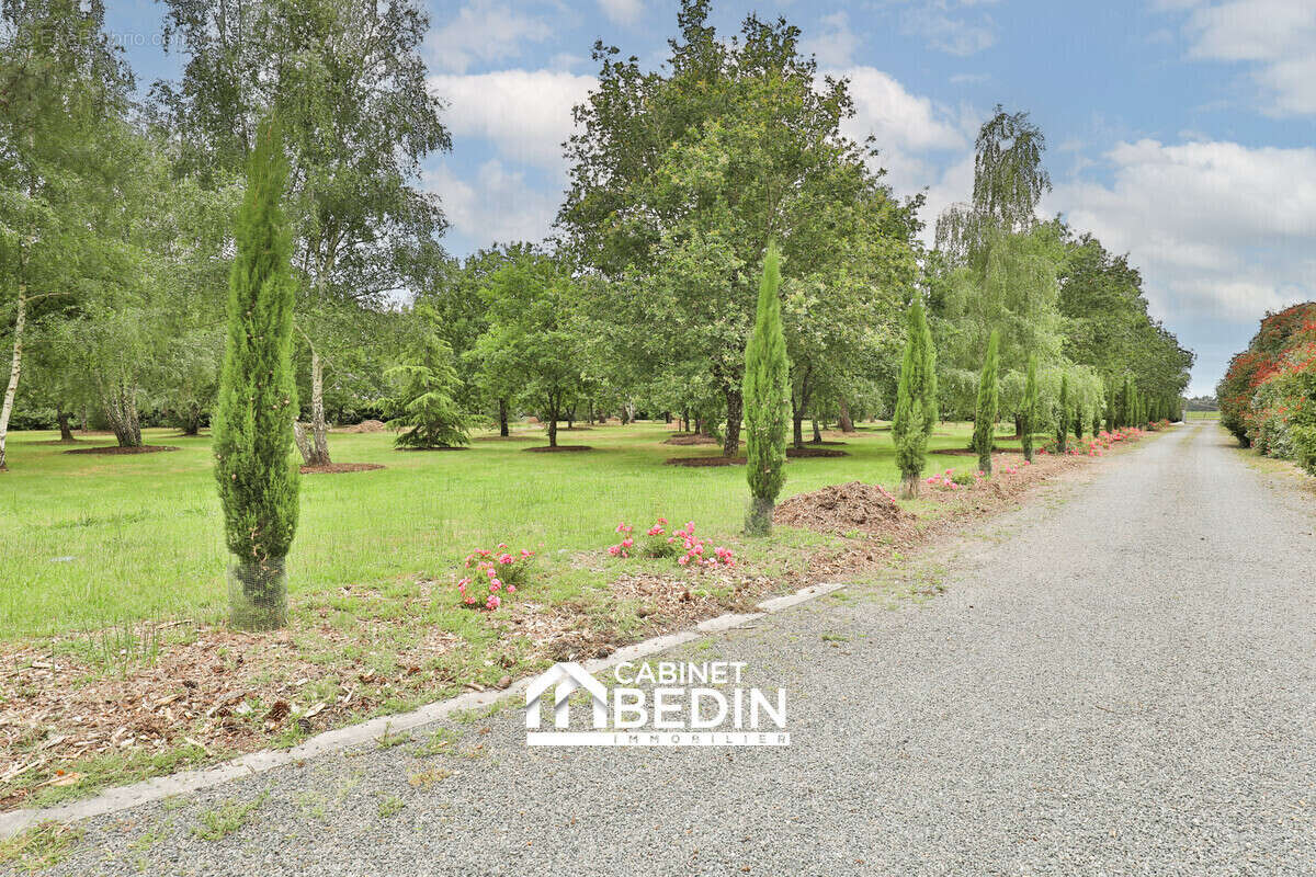 Maison à GUJAN-MESTRAS