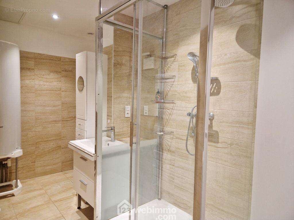 Une spacieuse salle de douche complète ce bien. - Appartement à ALBERTVILLE