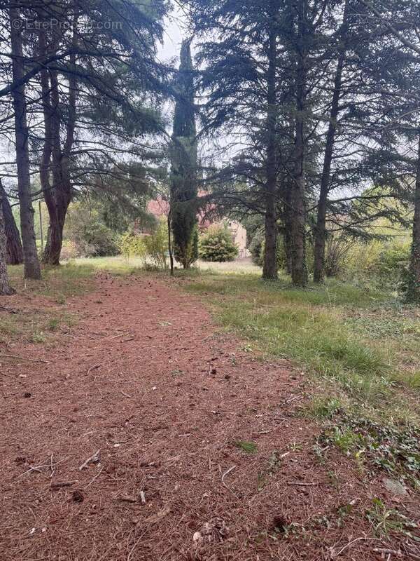 Terrain à PELISSANNE