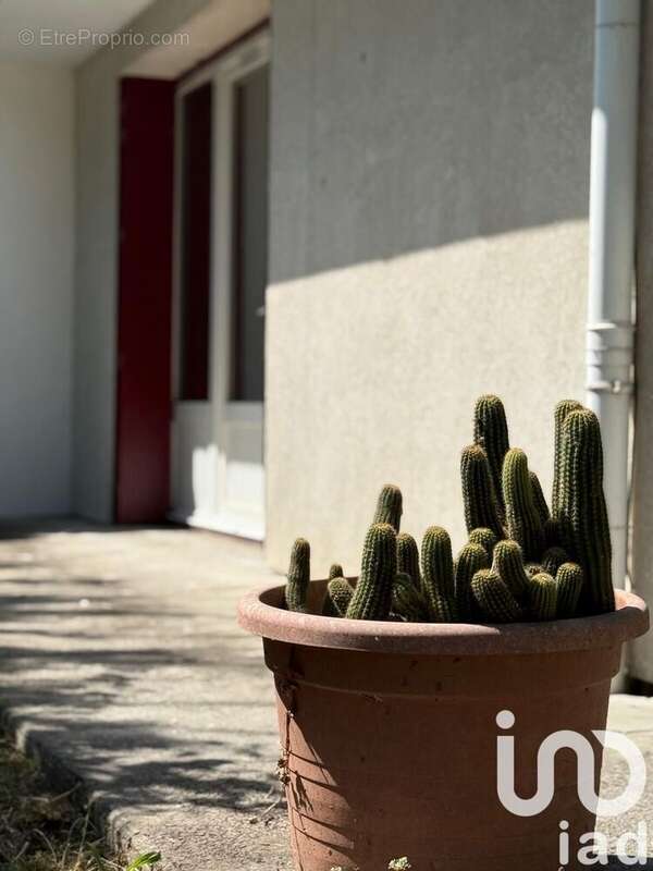 Photo 3 - Maison à MONT-DE-MARSAN